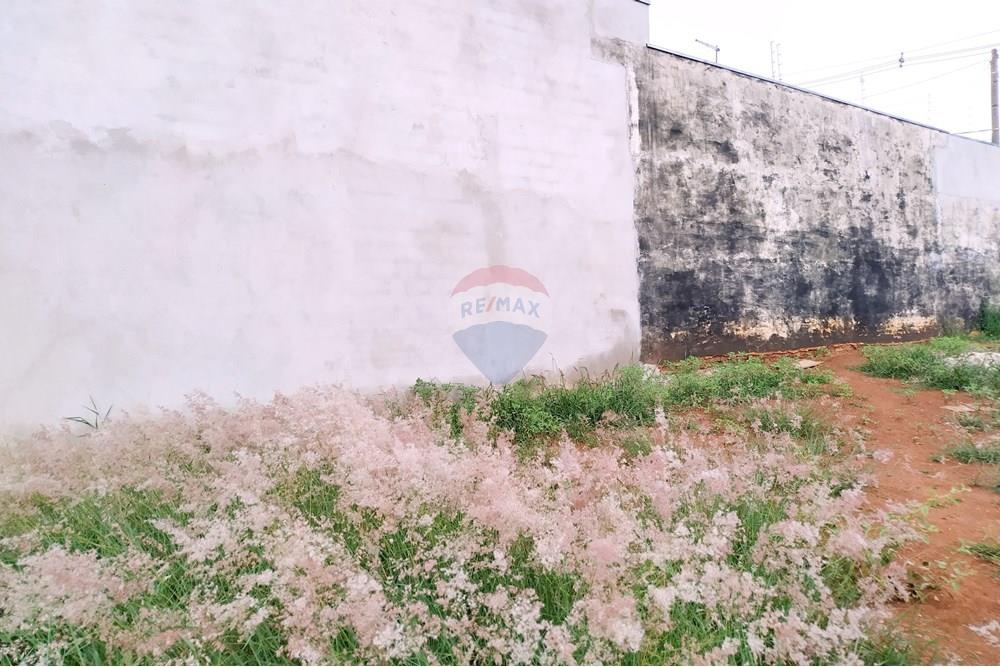 Terreno - Venda - Itapira , São Paulo - 1766266243116.jpg - 690291069-12