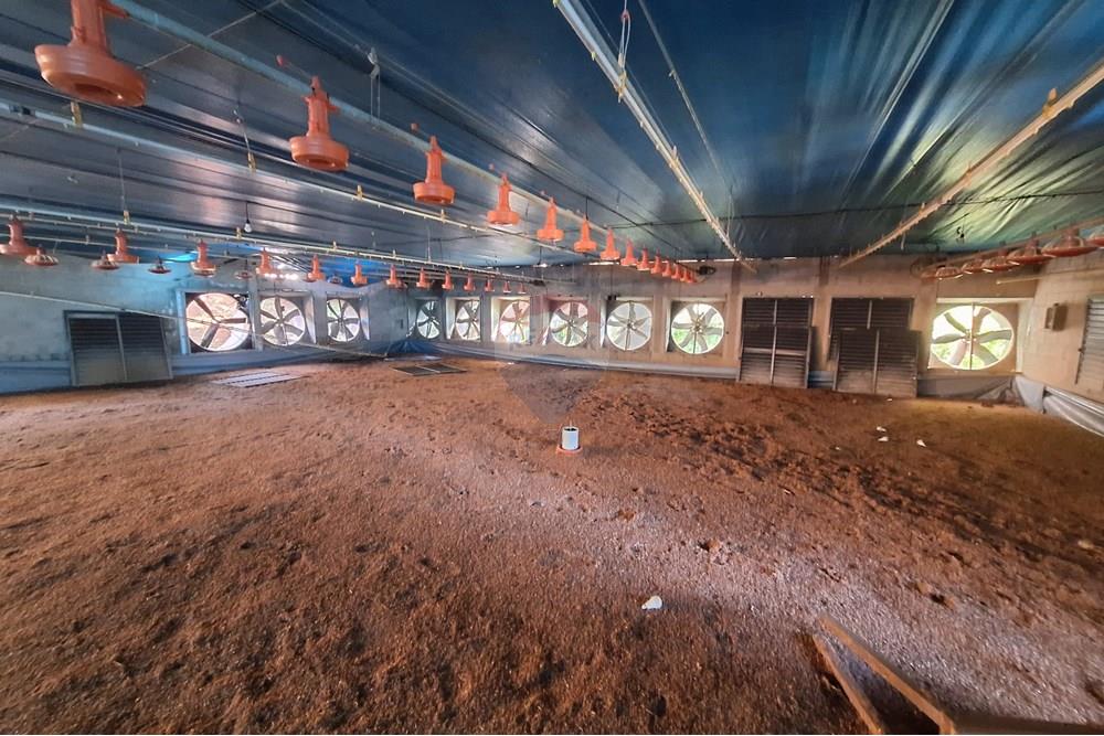 Chácara / Sítio / Fazenda - Venda - Itapira , São Paulo - 20250626_093041.jpg - 690751048-290