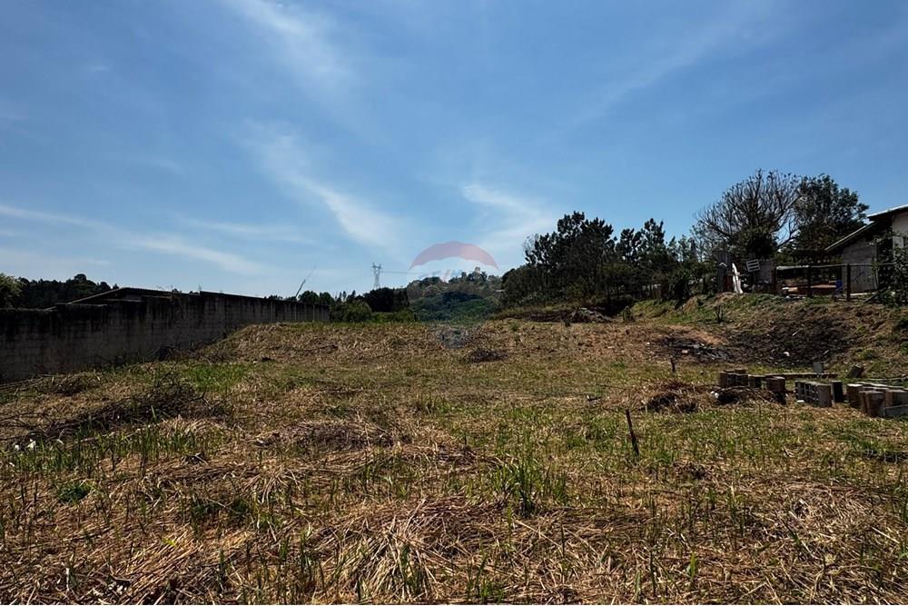 Terreno - Venda - Jarinu , São Paulo - IMG_3340.JPEG - 691121003-32