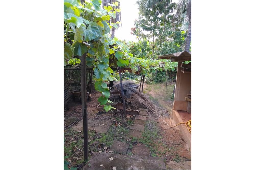 Chácara - Venda - Americana , São Paulo - IMG-20250531-WA0088.jpg - 691071014-5