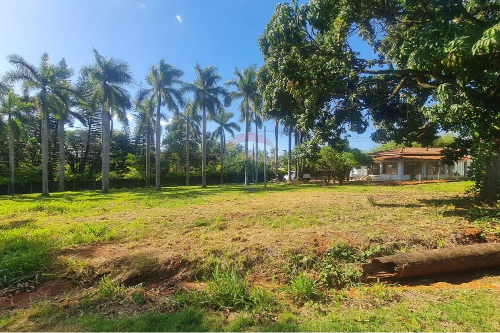 Agro - Alugar - Artur Nogueira , São Paulo - 20251120_155737.jpg - 690671009-93