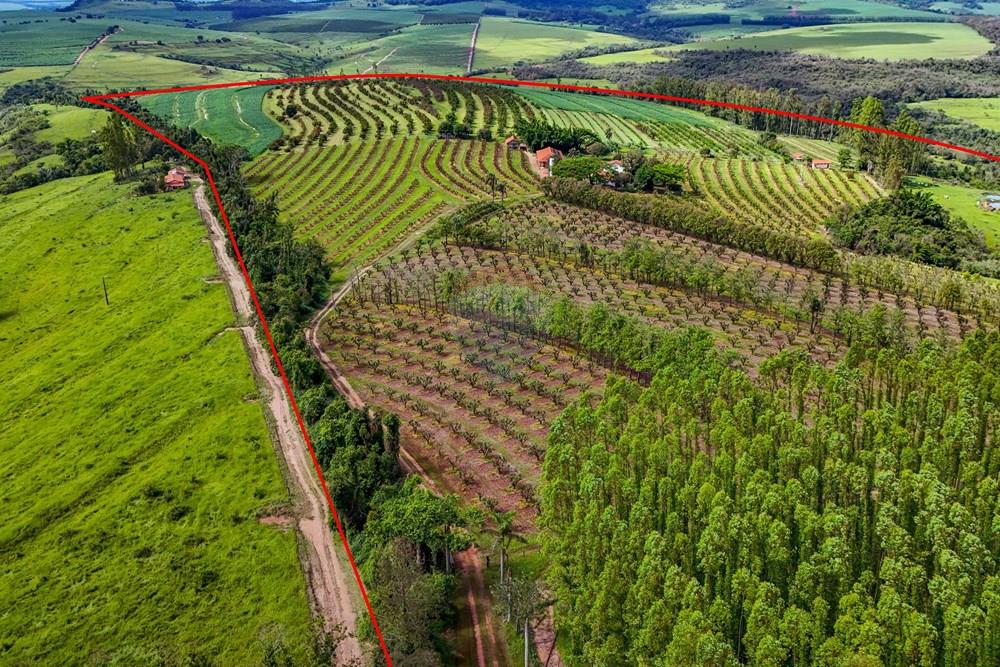 Fazenda - Venda - Analândia , São Paulo - Tratada - Drone-77.jpg - 690691016-305