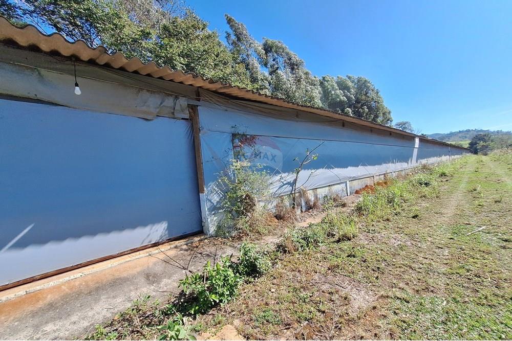 Chácara / Sítio / Fazenda - Venda - Itapira , São Paulo - 20250626_103825.jpg - 690751048-290