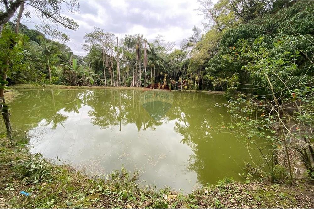 Fazenda - Venda - Juquiá , São Paulo - WhatsApp Image 2025-08-14 at 15.14.50.jpeg - 690061038-11