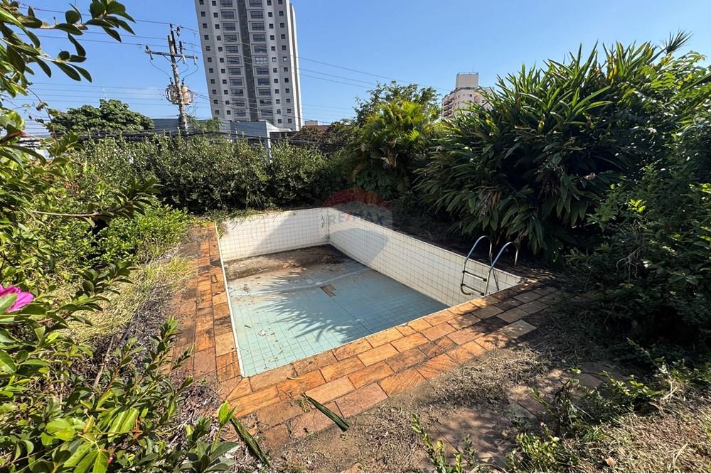 Comercial - Business - Piracicaba , Sao Paulo - BR - IMG_5477.jpeg - 690781104-95