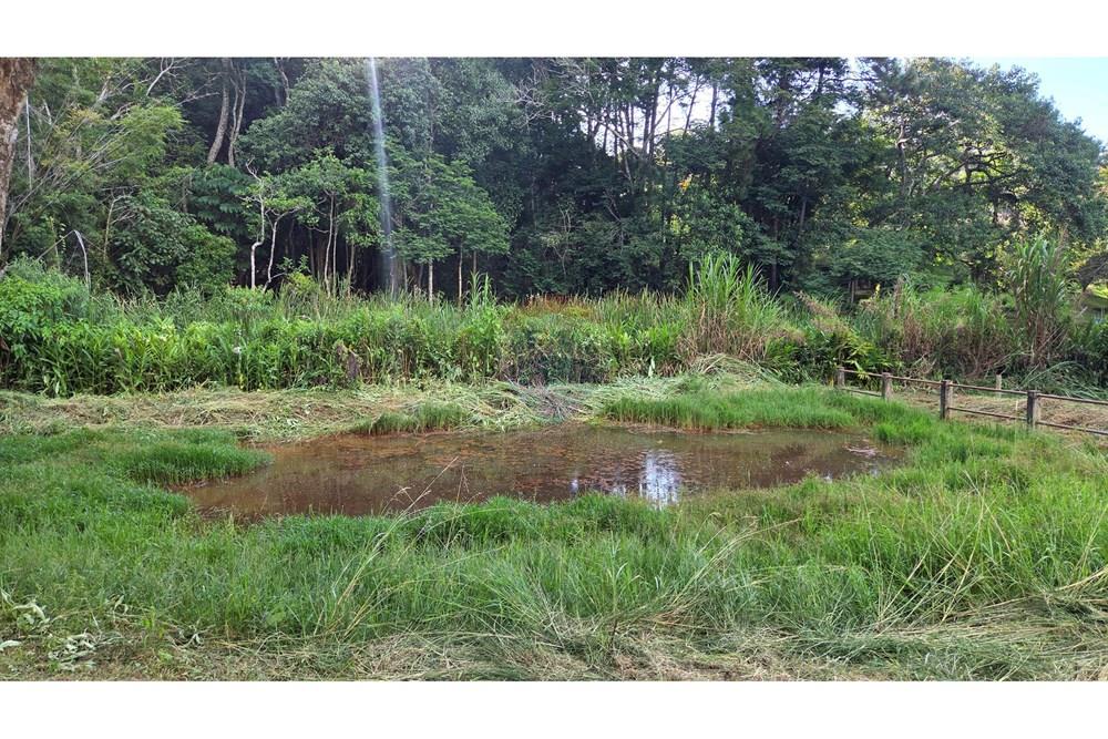 Chácara / Sítio / Fazenda - Venda - Santana de Parnaíba , São Paulo - 20260314_164831.jpg - 690951041-67