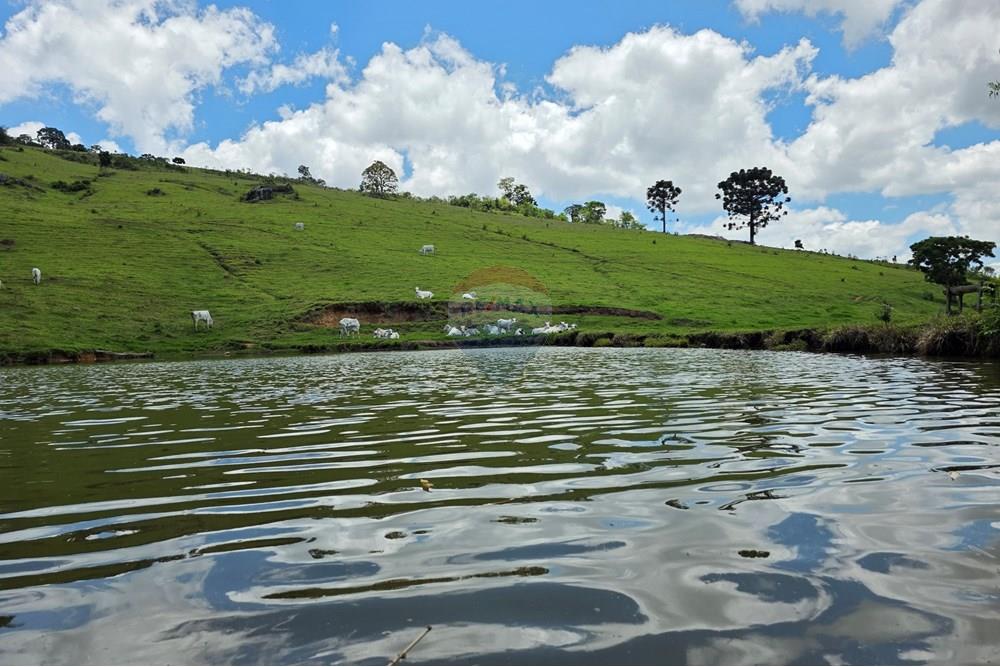 Chácara / Sítio / Fazenda - Venda - Pedra Bela , São Paulo - 20251111_120825.jpg - 690041041-48