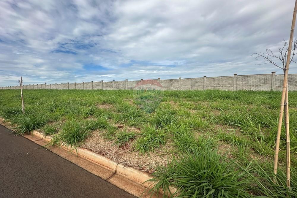 Terreno - Venda - Santa Bárbara d'Oeste , São Paulo - IMG_7669.jpg - 691071035-52