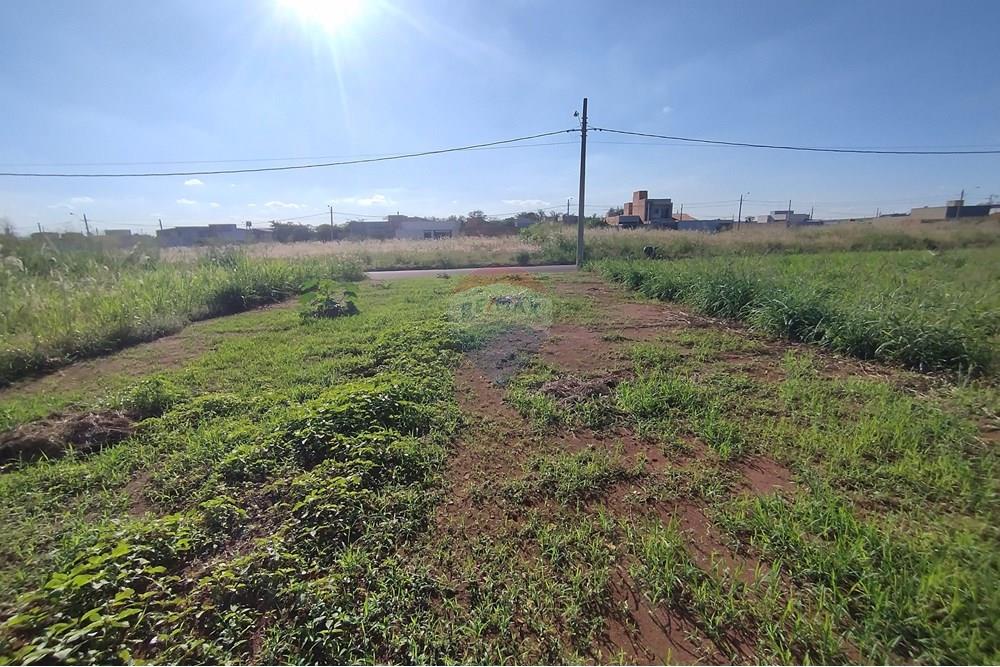 Terreno - Venda - Mogi Guaçu , São Paulo - IMG_20250430_153403.jpg - 690521005-80