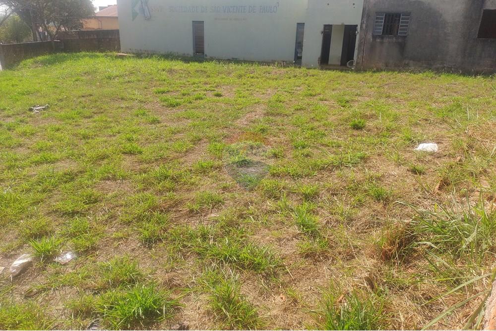 Terreno - Venda - Cosmópolis , São Paulo - IMG_20240801_135649473.jpg - 690511359-369