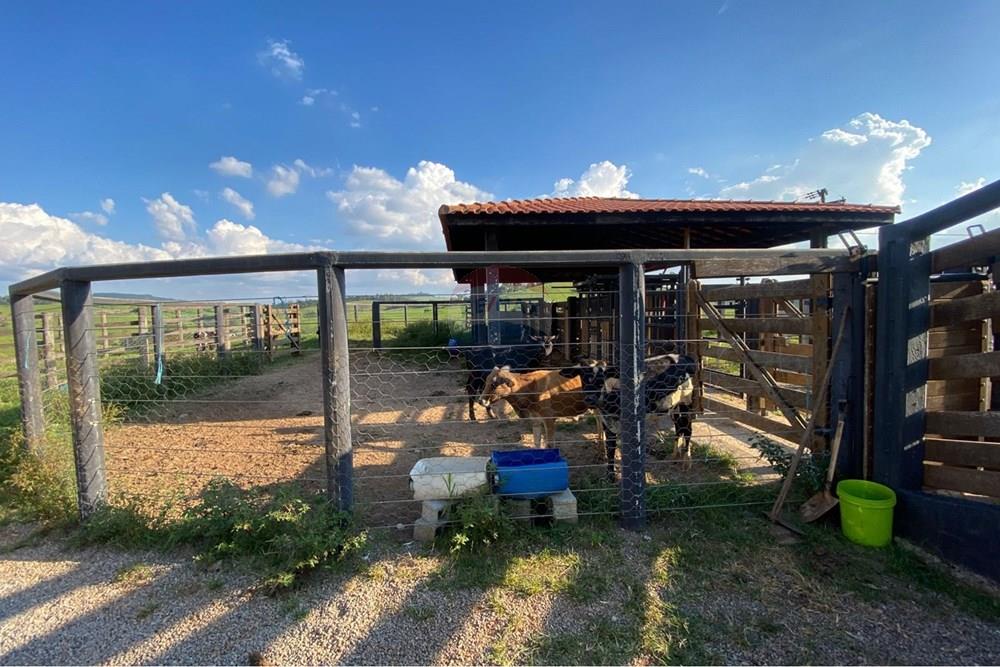 Chácara / Sítio / Fazenda - Venda - Socorro , São Paulo - WhatsApp Image 2026-03-04 at 13.32.26.jpeg - 690041167-12