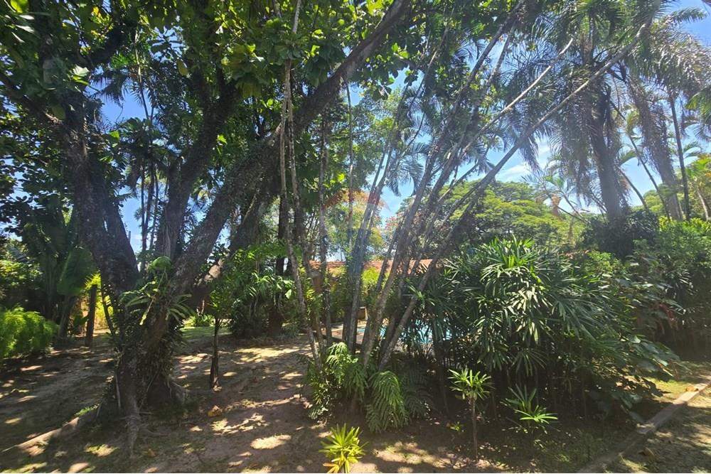 Chácara / Sítio / Fazenda - Venda - Americana , São Paulo - IMG-20250220-WA0105.jpg - 691071001-16