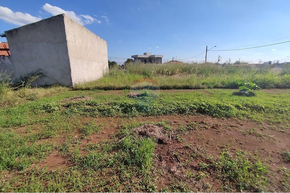 Terreno - Venda - Mogi Guaçu , São Paulo - IMG_20250430_153341.jpg - 690521005-80