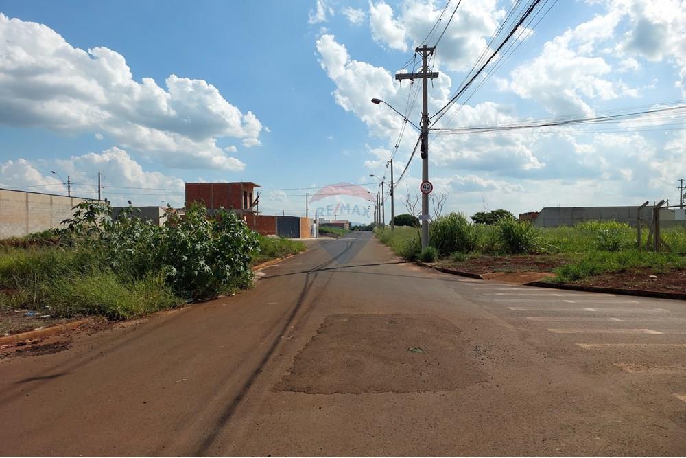 Terreno - Venda - Mogi Guaçu , São Paulo - 20241218_152501.jpg - 690521010-257