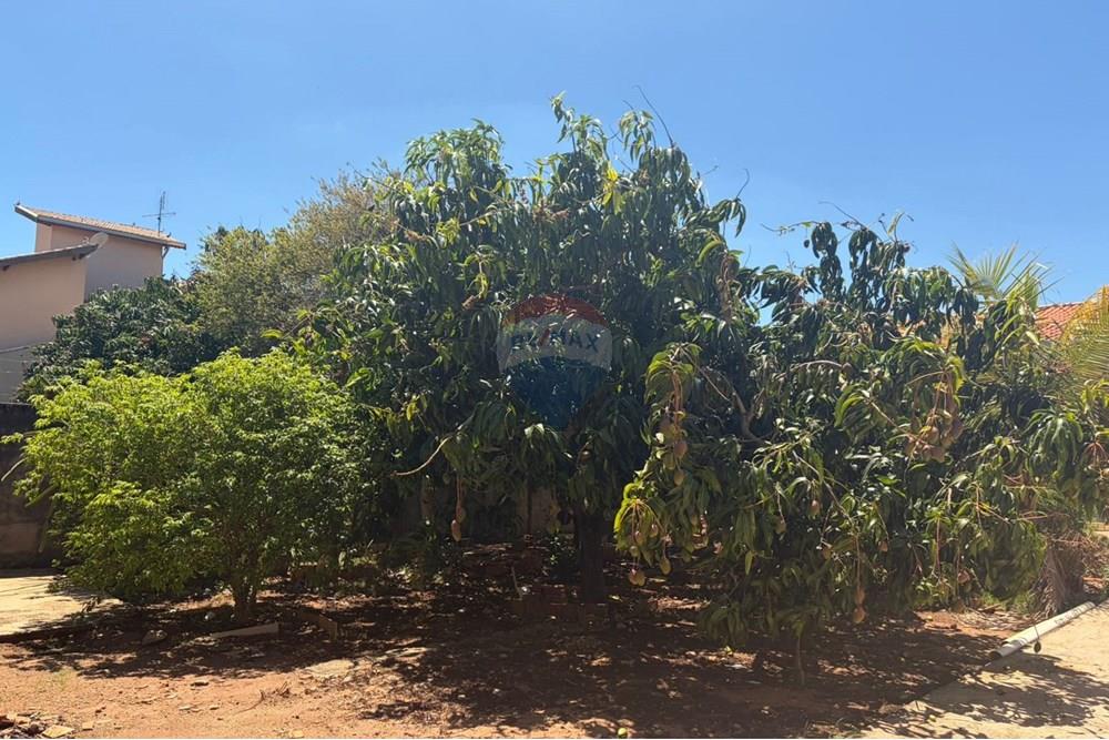 Casa - Venda - Campinas , São Paulo - WhatsApp Image 2025-10-24 at 14.12.14 (2).jpeg - 690331002-250