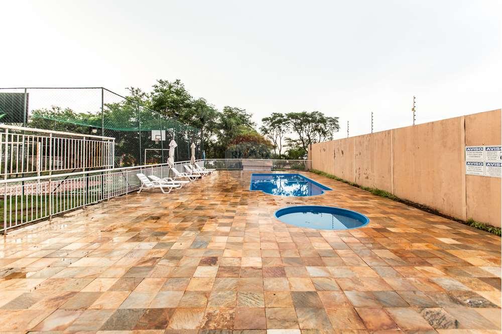 Apartamento - Alugar - Valinhos , São Paulo - shv_redepro_161023-1812 (1).jpg - 691091011-105