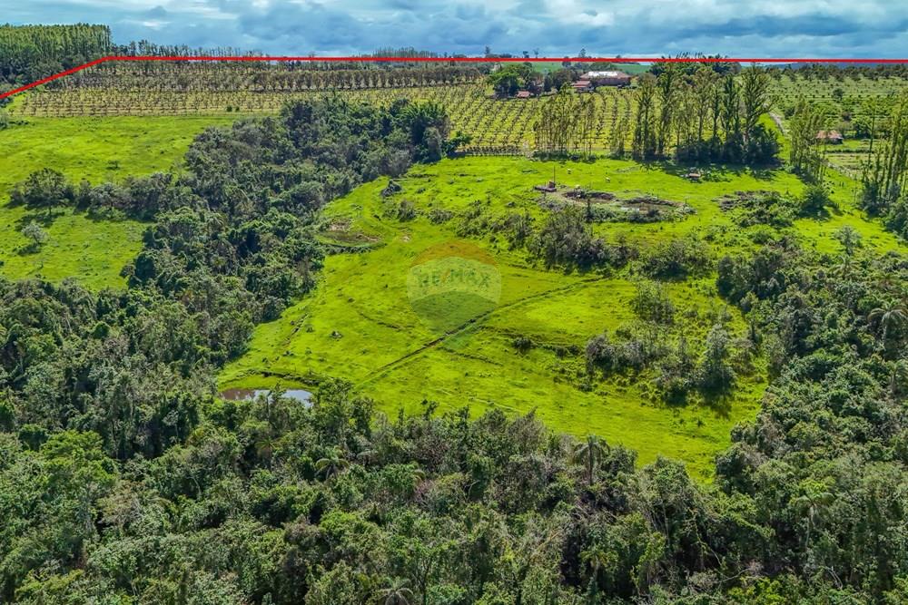 Fazenda - Venda - Analândia , São Paulo - Tratada - Drone-78.jpg - 690691016-305