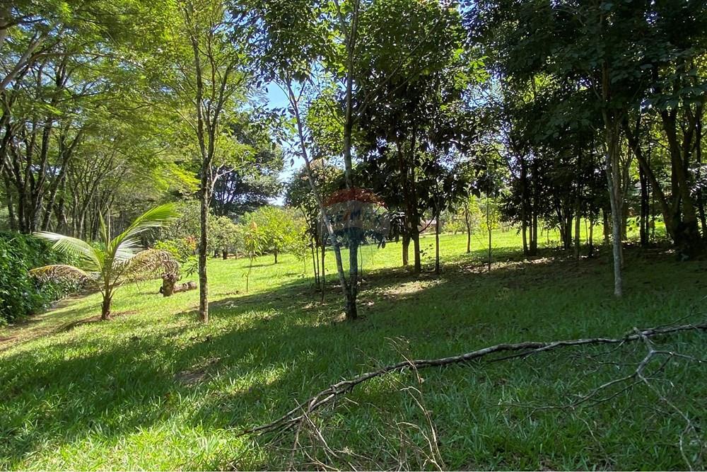 Chácara / Sítio / Fazenda - Venda - Jarinu , São Paulo - Z32A.JPEG - 691121003-48