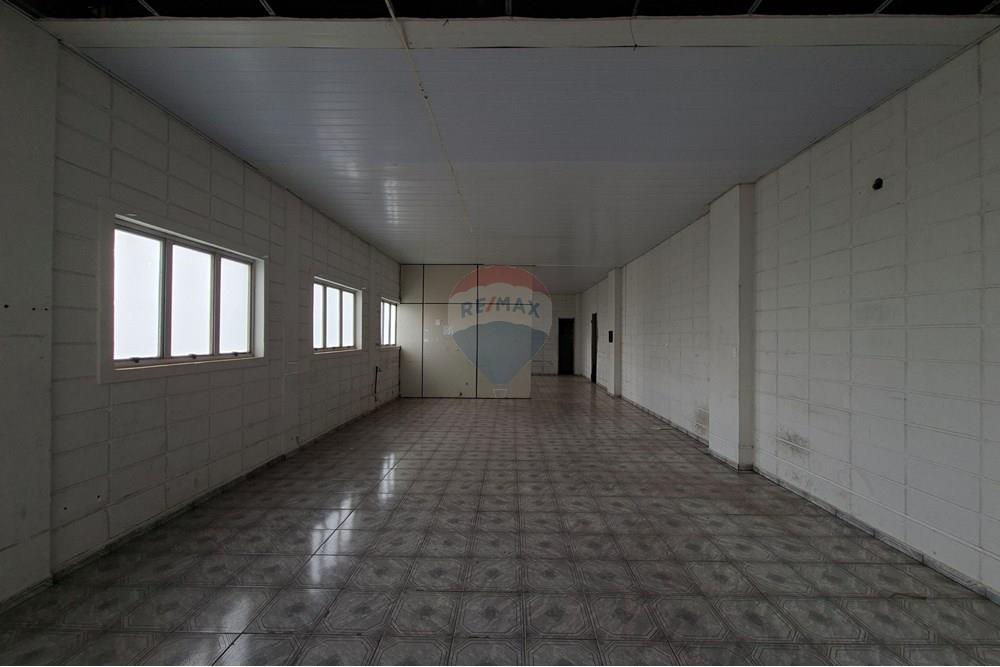 Galpão - Alugar - Mogi Mirim , São Paulo - 20251028_153738.jpg - 690751049-275