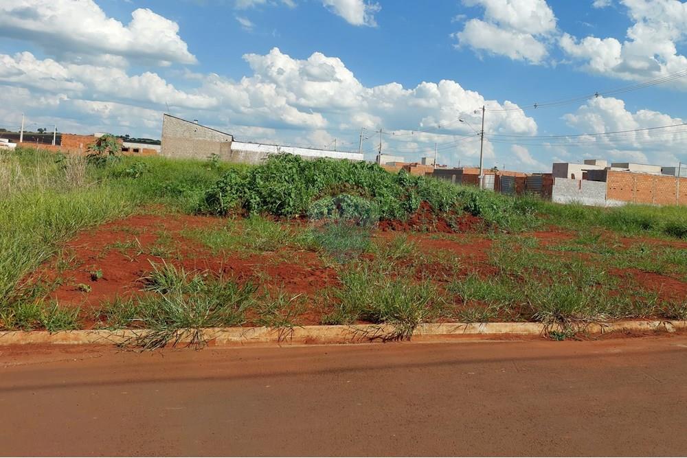 Terreno - Venda - Mogi Guaçu , São Paulo - 20241218_152142 - Copia.jpg - 690521010-257