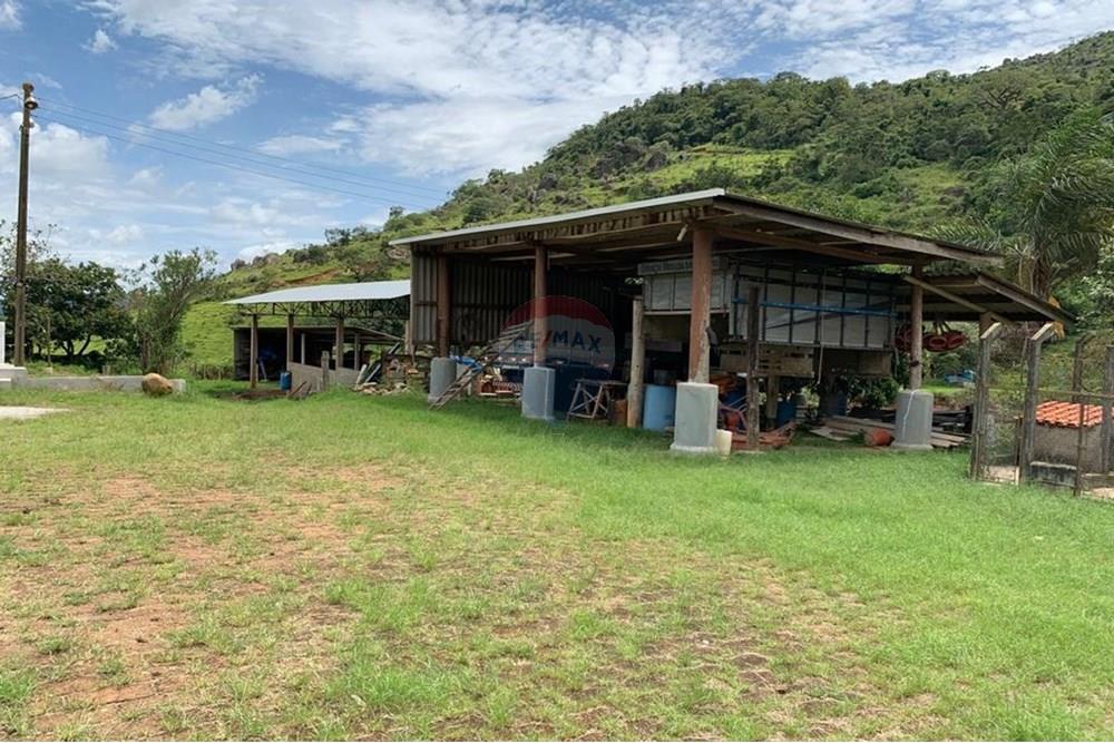 Chácara / Sítio / Fazenda - Venda - Bragança Paulista , São Paulo - GRANJA TANQUE (8).jpg - 690141085-32