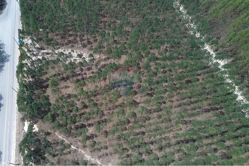 Terreno - Venda - Capivari , São Paulo - 2025-10-16-11-22-03-910.jpg - 690091006-562