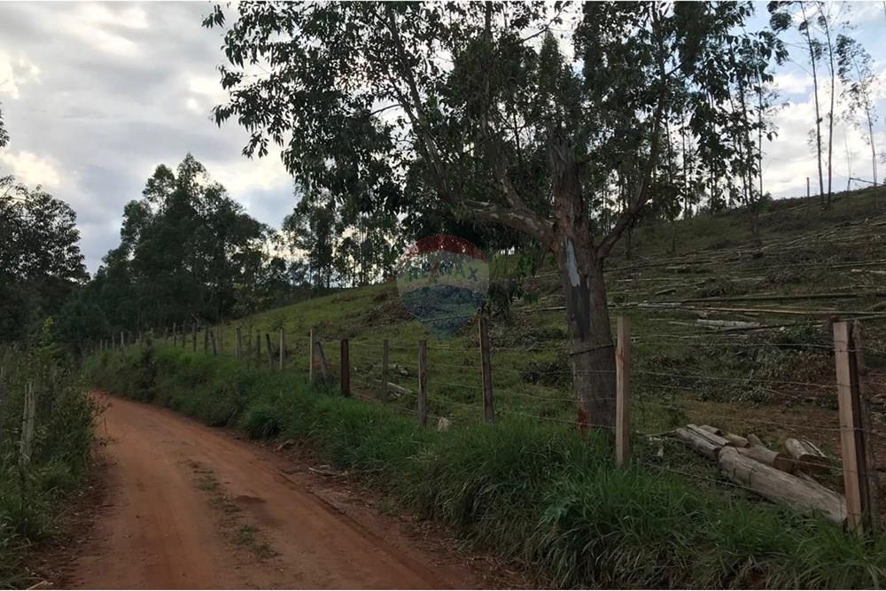 Chácara / Sítio / Fazenda - Venda - Socorro , São Paulo - IMG-20250520-WA0051.jpg - 690291056-39