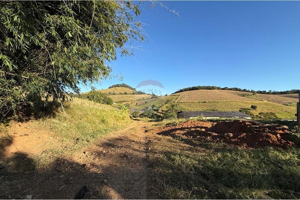 Fazenda - Venda - Socorro , São Paulo - WhatsApp Image 2025-06-30 at 17.04.06 (31).jpeg - 690521014-114