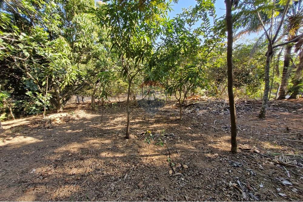 Residential - Land - Jaguariúna , Sao Paulo - BR - 20250814_151926.jpg - 690671008-326