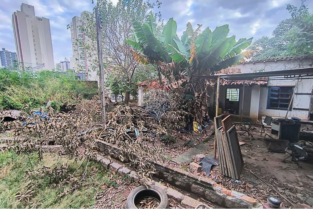 Terreno - Alugar - Campinas , São Paulo - WhatsApp Image 2025-06-30 at 16.56.56 (1).jpeg - 690681149-53