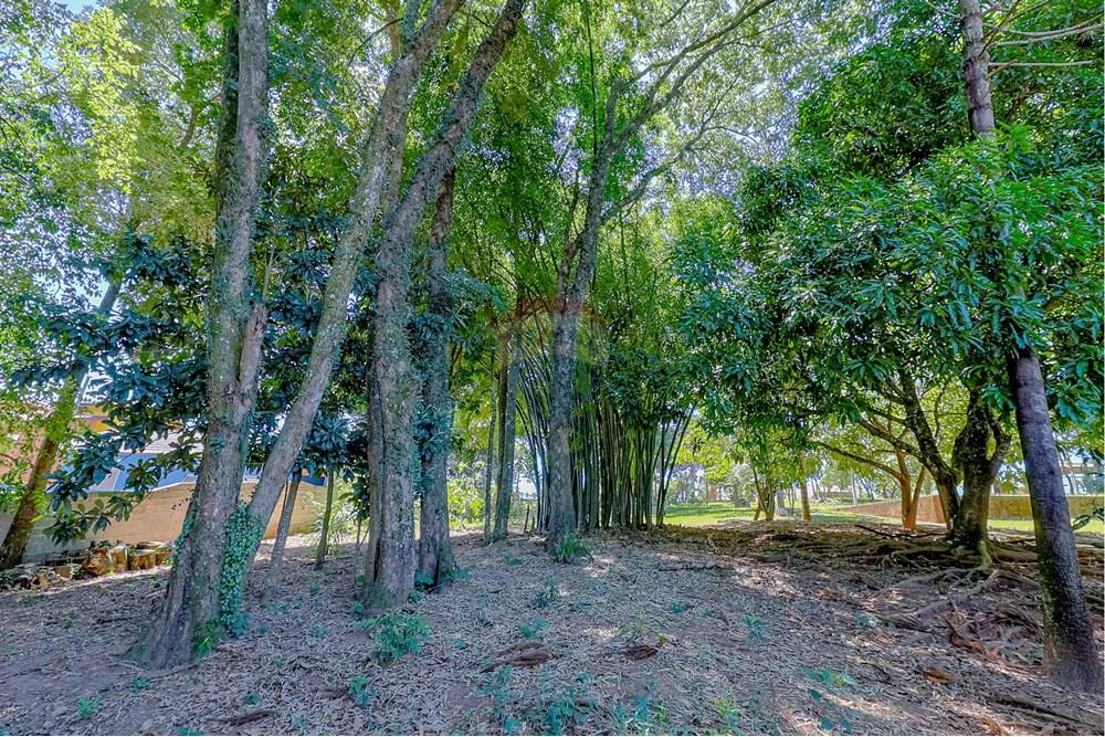 Terreno - Venda - Atibaia , São Paulo - RINF-13.jpg - 690921066-43