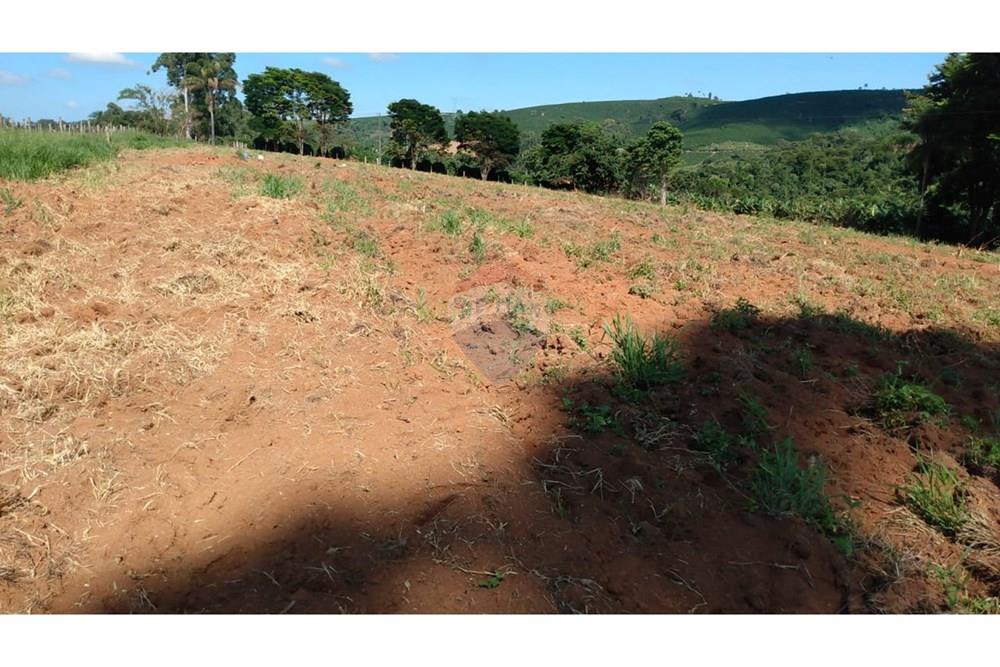 Fazenda - Venda - Campestre , Minas Gerais - 42d4c5bf-d803-4342-add6-87150b588630.jpg - 690291077-293