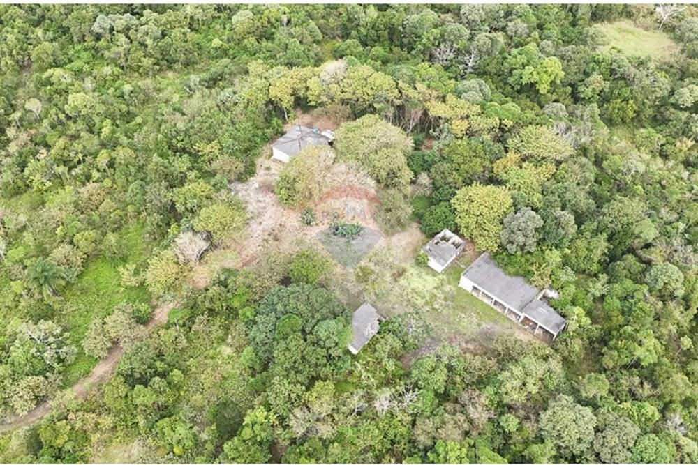 Fazenda - Venda - Iguape , São Paulo - WhatsApp Image 2025-08-11 at 16.22.07 (1).jpeg - 690061038-13