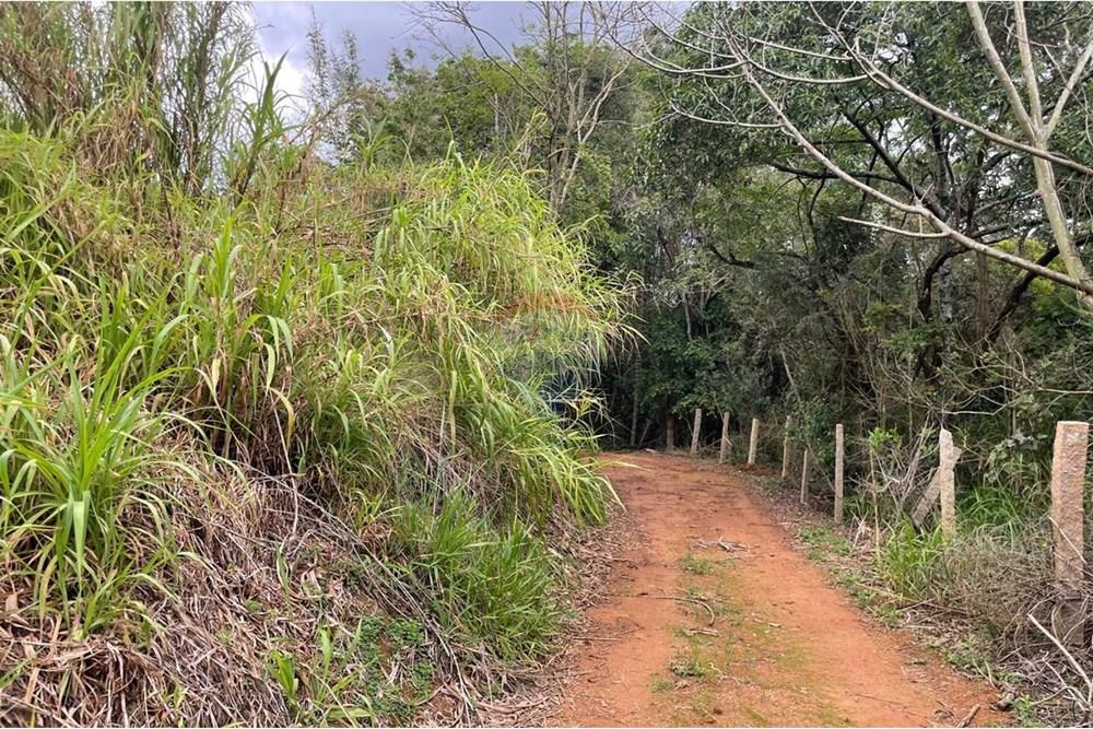 Chácara / Sítio / Fazenda - Venda - Itatiba , São Paulo - Luiz estrada.jpeg - 690661101-13