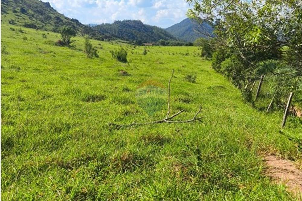 Chácara / Sítio / Fazenda - Venda - Morungaba , São Paulo - WhatsApp Image 2026-03-05 at 17.26.13 (1).jpeg - 691131002-3