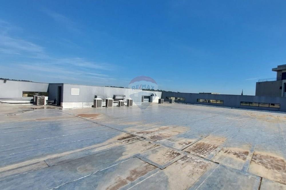 Prédio - Alugar - Campinas , São Paulo - IMG-20250402-WA0011.jpg - 690181001-416