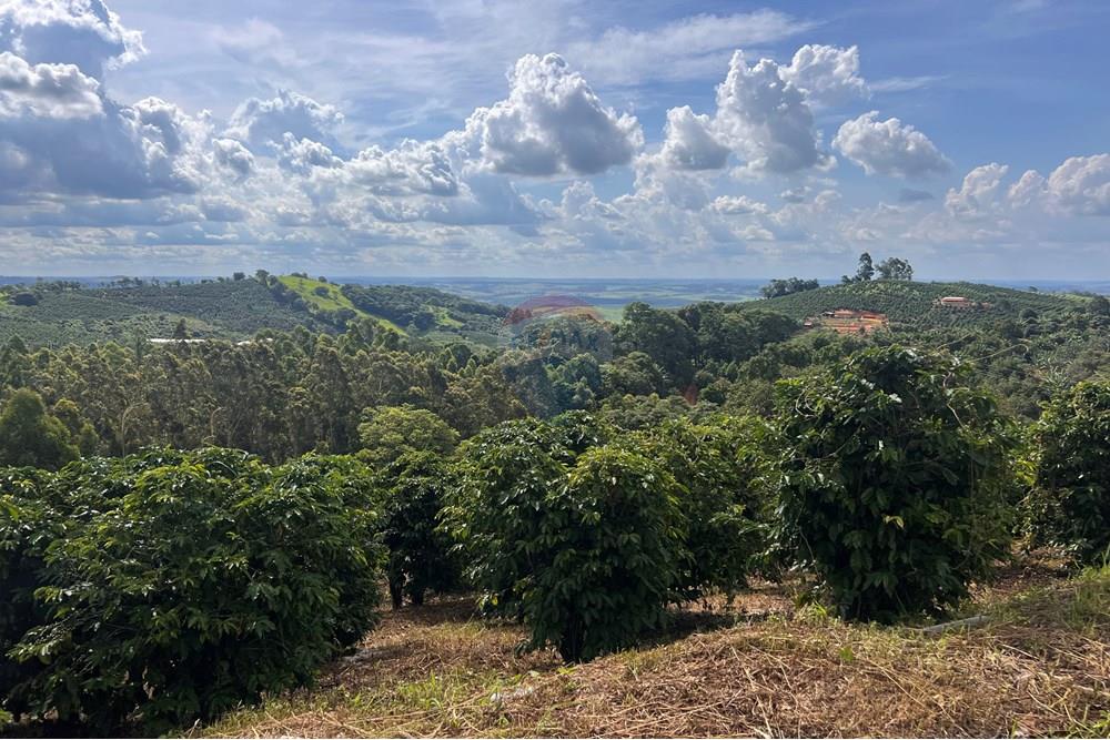 Chácara / Sítio / Fazenda - Venda - Serra Negra , São Paulo - IMG_8921.jpg - 690291056-34