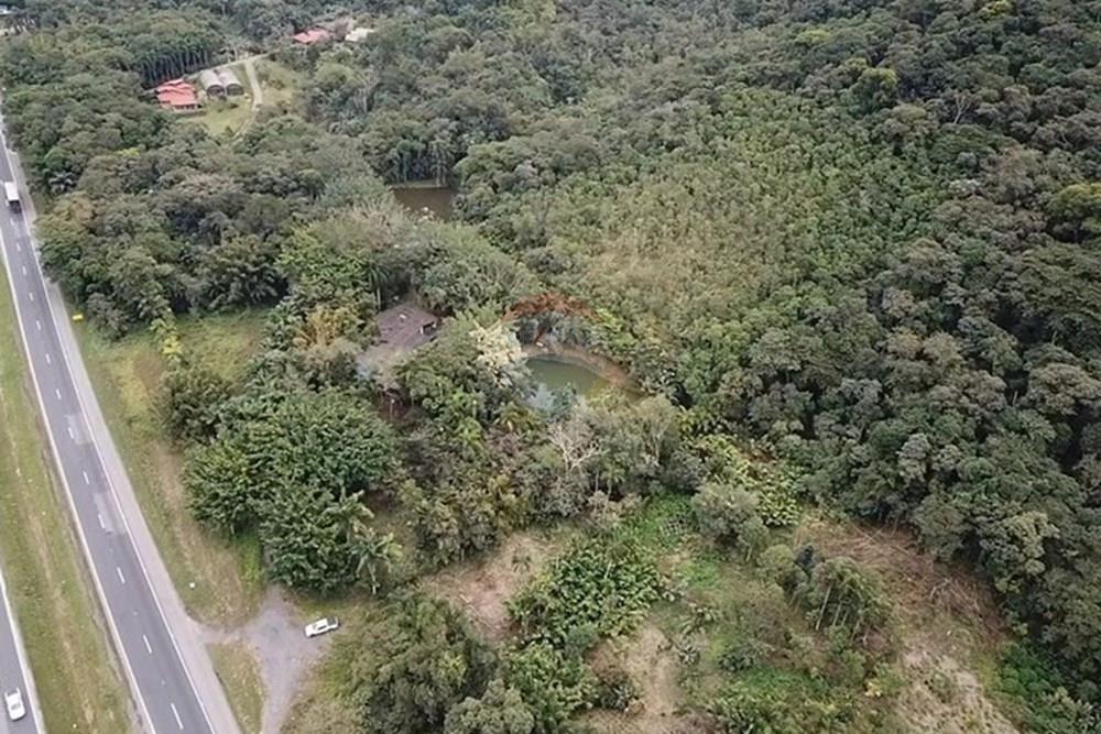 Fazenda - Venda - Juquiá , São Paulo - WhatsApp Image 2025-08-14 at 15.14.52 (11).jpeg - 690061038-11