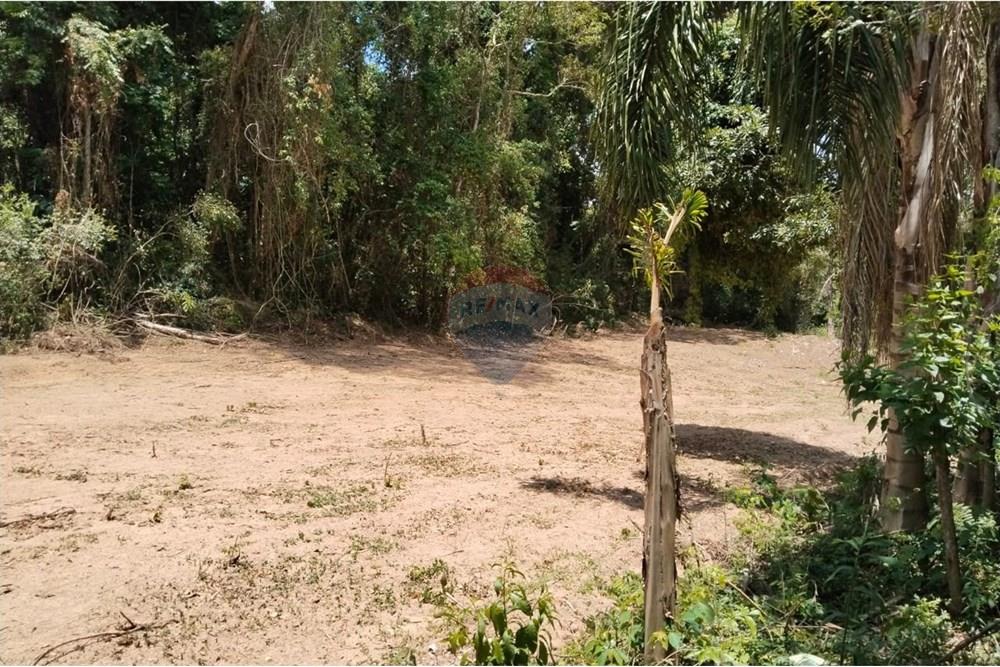 Chácara / Sítio / Fazenda - Venda - Atibaia , São Paulo - Foto5.jpg - 690791148-26