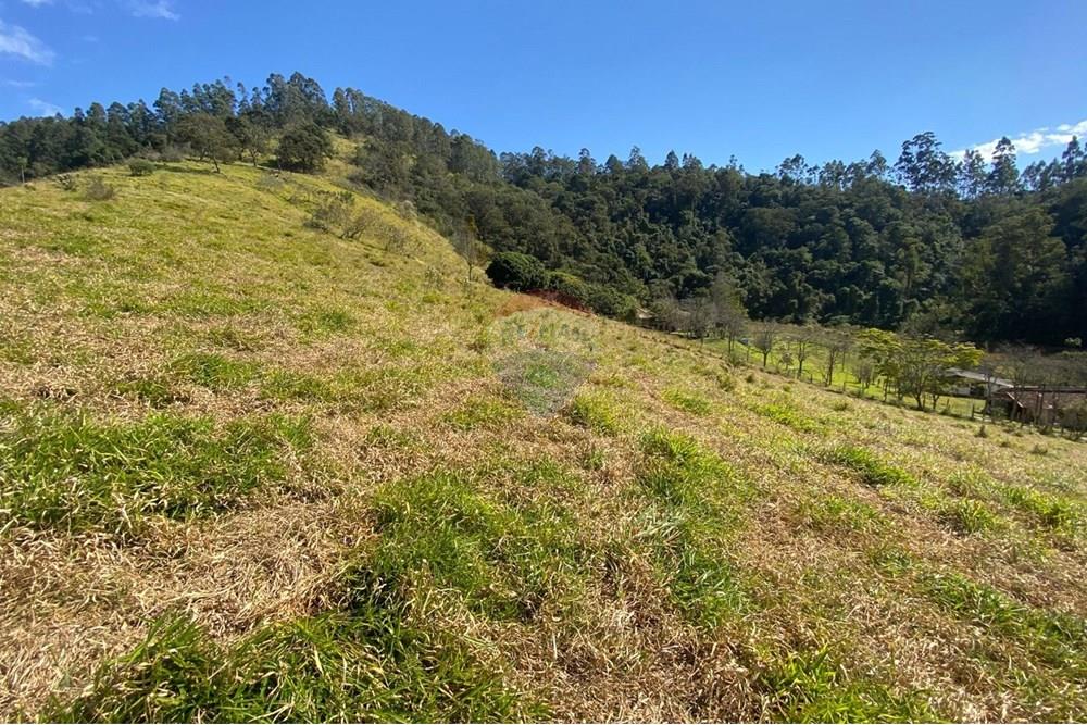 Chácara / Sítio / Fazenda - Venda - Joanópolis , São Paulo - cd3bfbe4-56a5-45aa-b267-d61248ed6d9f.jpeg - 690041107-19