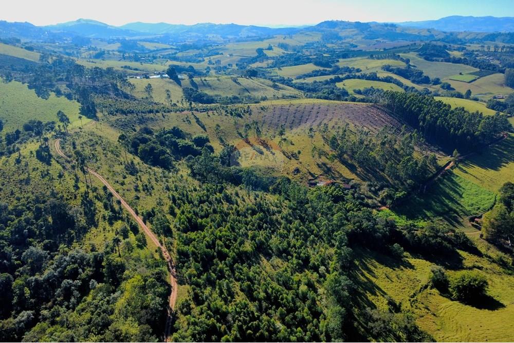Chácara / Sítio / Fazenda - Venda - Socorro , São Paulo - dji_fly_20250617_094138_202_1750164106022_photo_optimized.jpg - 690291056-39