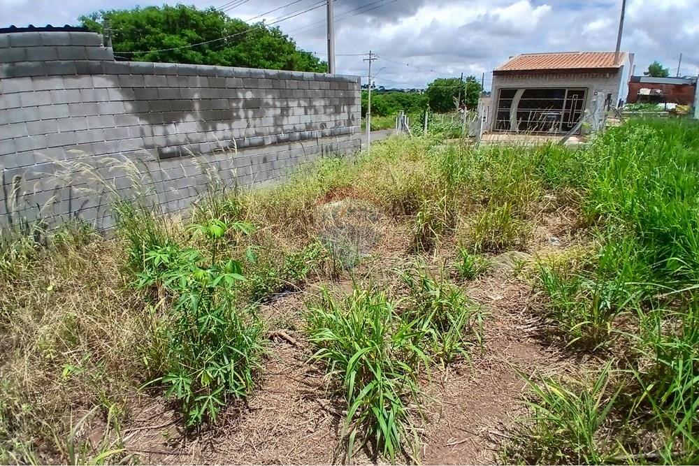 Terreno - Venda - Americana , São Paulo - 20260226_124543.jpg - 691071037-3