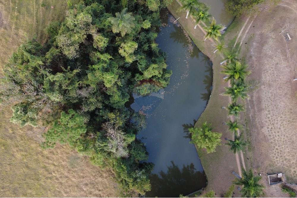 Chácara / Sítio / Fazenda - Venda - Itapira , São Paulo - DJI_0441.JPG - 690521005-184