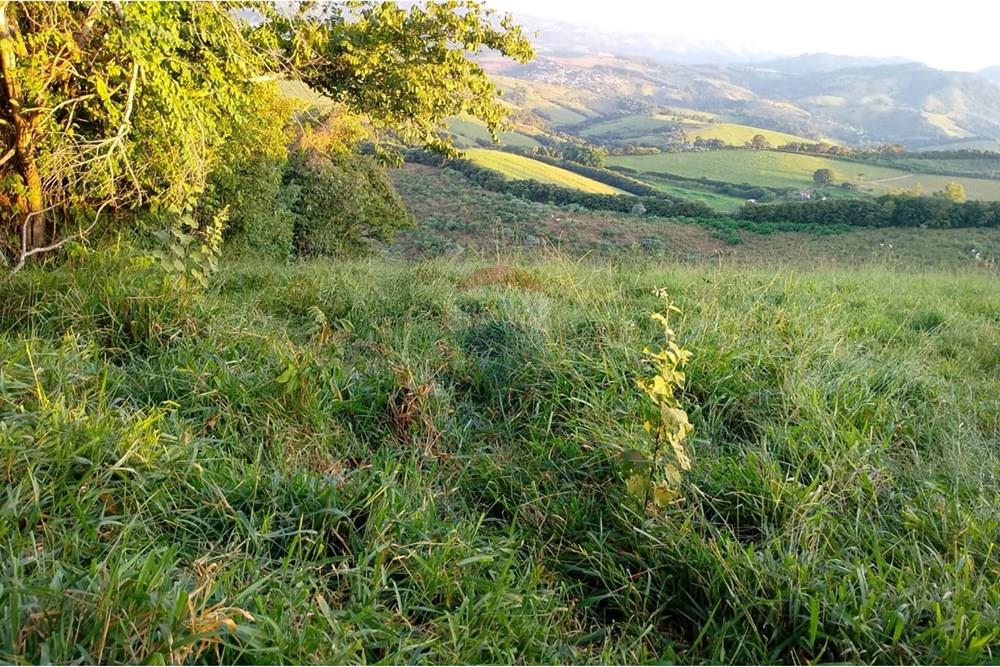Terreno - Venda - Lindóia , São Paulo - IMG-20250507-WA0029.jpg - 690291056-36