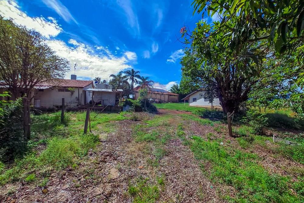 Fazenda - Venda - Analândia , São Paulo - Tratada-6.jpg - 690691016-305