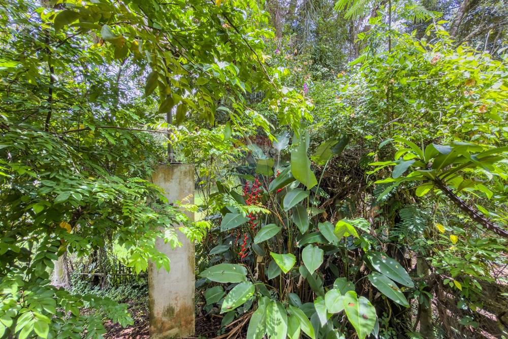 Chácara / Sítio / Fazenda - Venda - Jarinu , São Paulo - IMG_3021.jpg - 690661027-149