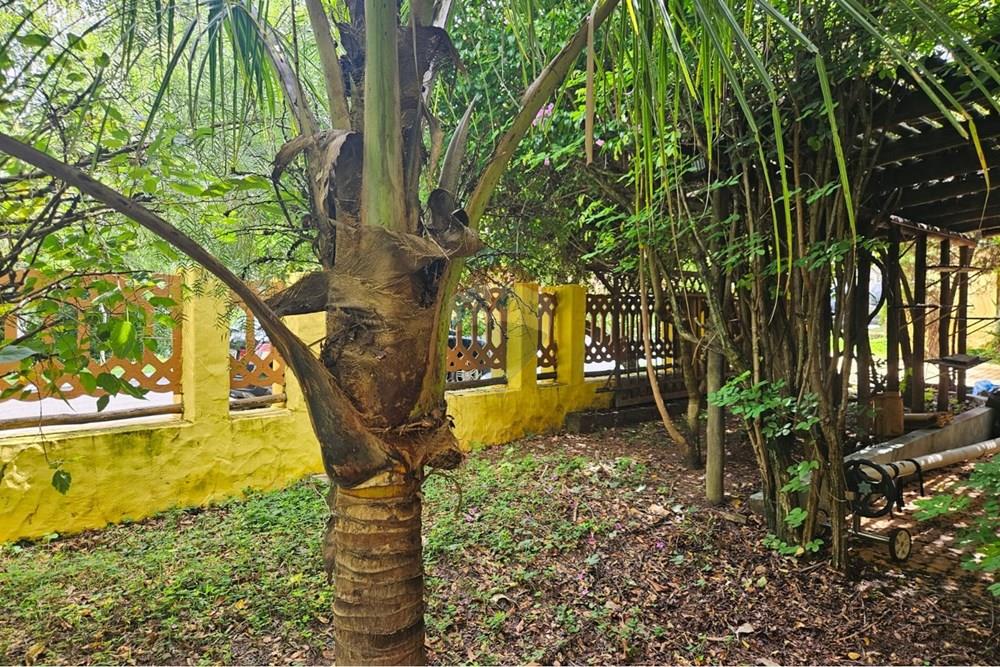 Casa de Condomínio - Alugar - Vinhedo , São Paulo - WhatsApp Image 2026-01-13 at 17.19.10 (1).jpeg - 690681046-164