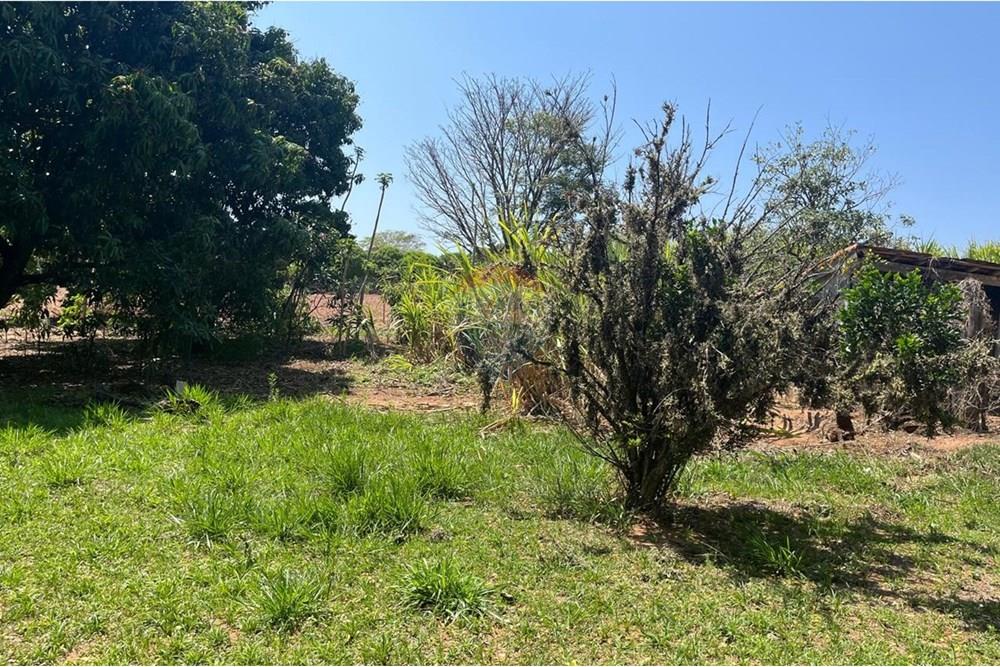 Chácara / Sítio / Fazenda - Venda - Valinhos , São Paulo - WhatsApp Image 2025-10-27 at 09.33.48 (6).jpeg - 691181010-8