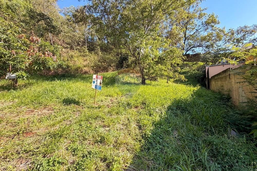 Terreno - Venda - Valinhos , São Paulo - WhatsApp Image 2026-03-09 at 17.03.57.jpeg - 690491054-19