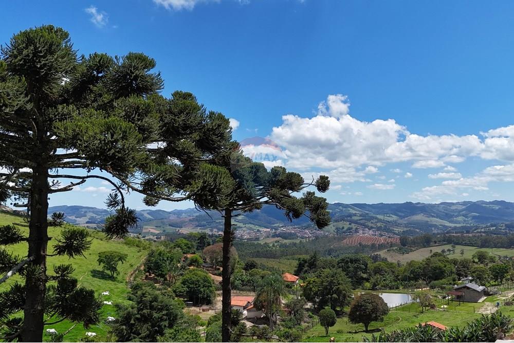 Chácara / Sítio / Fazenda - Venda - Pedra Bela , São Paulo - DJI_20251111102016_0374_D 2.JPG - 690041041-48